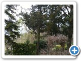 Laboratorio di Giardinaggio (4)
